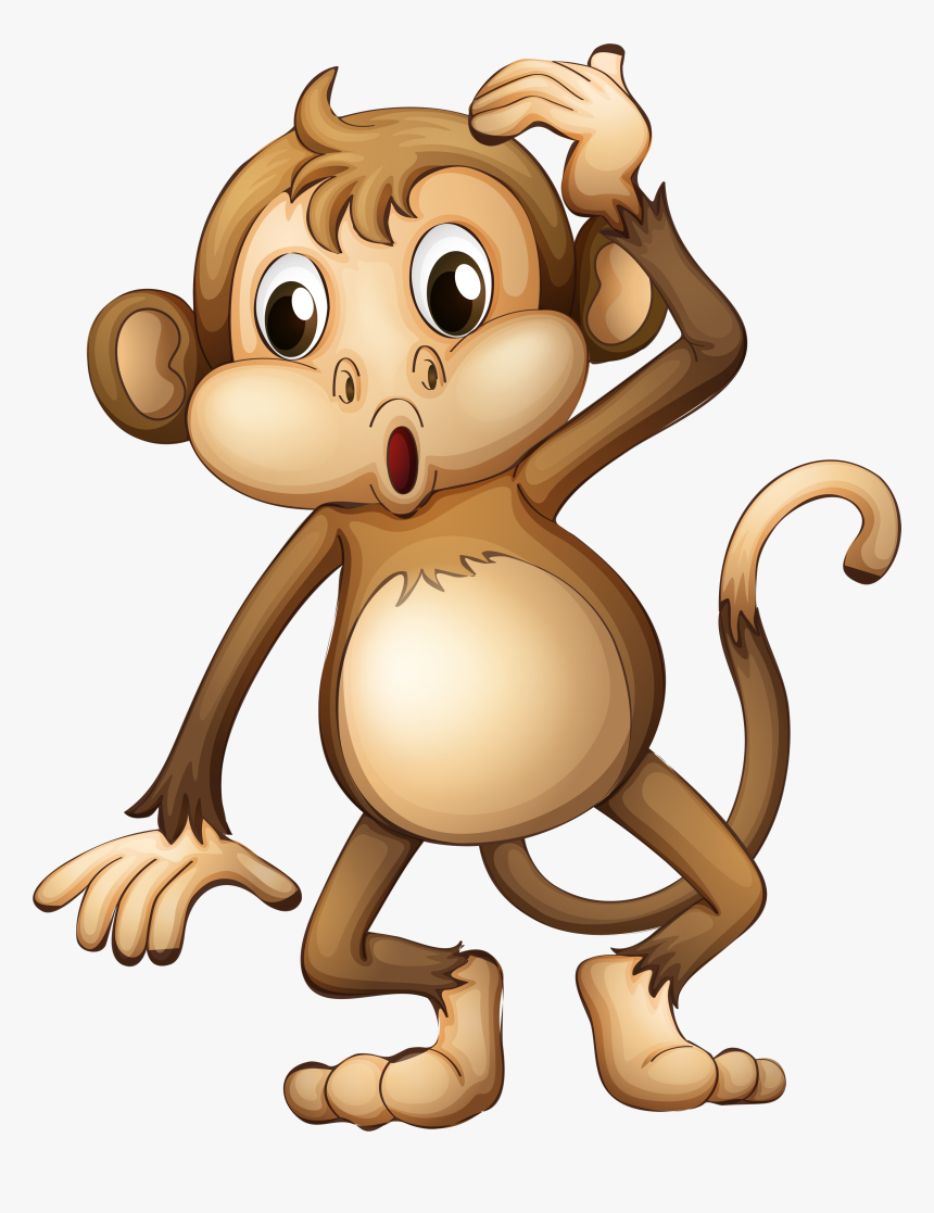 Detail Transparent Monkey Nomer 41