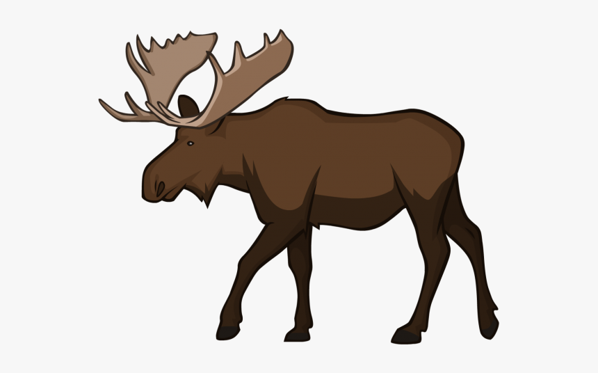 Transparent Moose - KibrisPDR