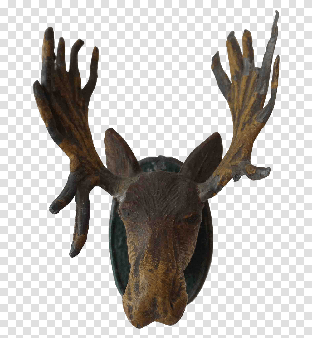 Detail Transparent Moose Nomer 19
