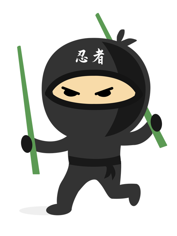Detail Transparent Ninja Nomer 10