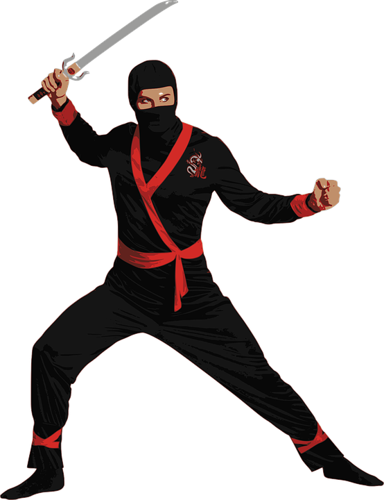 Detail Transparent Ninja Nomer 27