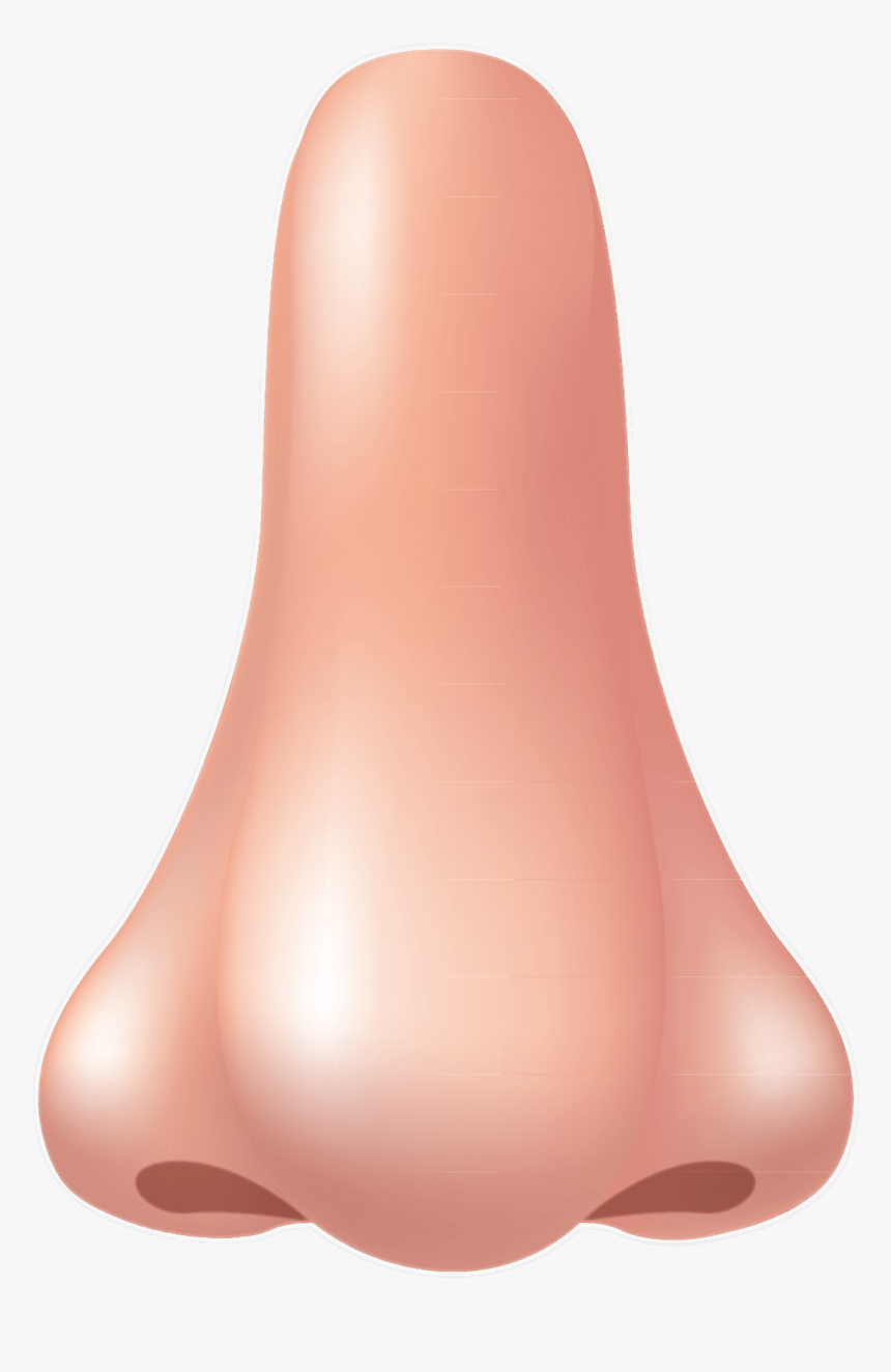 Transparent Nose - KibrisPDR