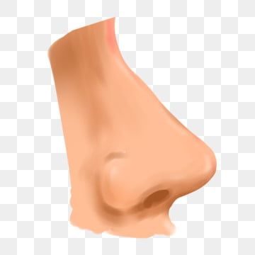 Detail Transparent Nose Nomer 9