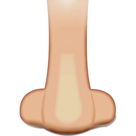 Detail Transparent Nose Nomer 14