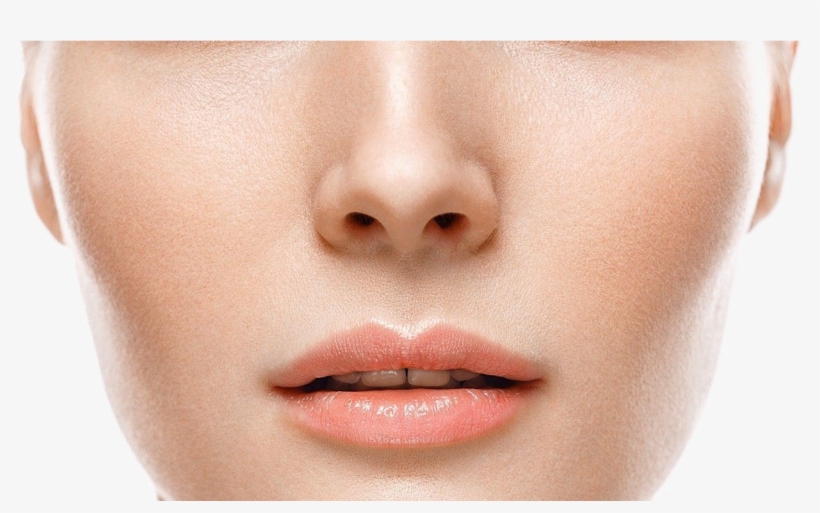 Detail Transparent Nose Nomer 15