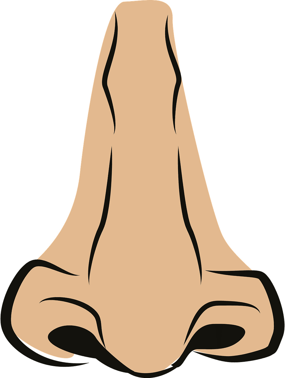 Detail Transparent Nose Nomer 16