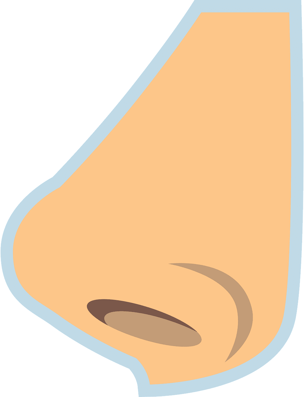Detail Transparent Nose Nomer 17