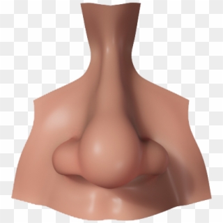 Detail Transparent Nose Nomer 18