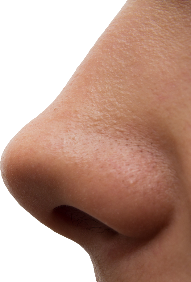 Detail Transparent Nose Nomer 23