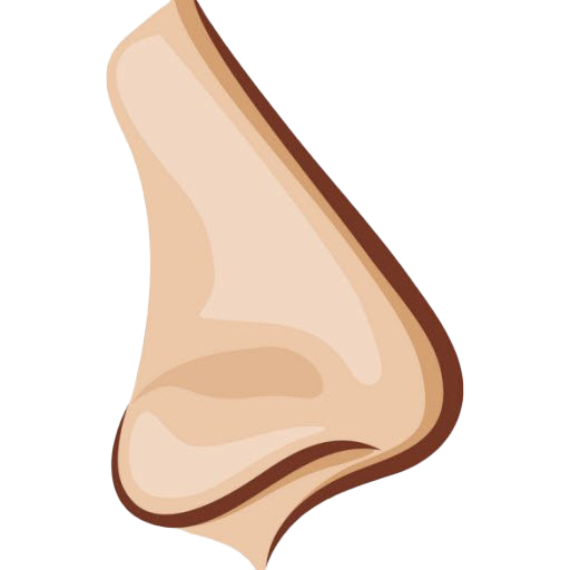 Detail Transparent Nose Nomer 3