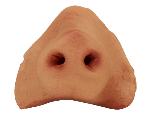 Detail Transparent Nose Nomer 26