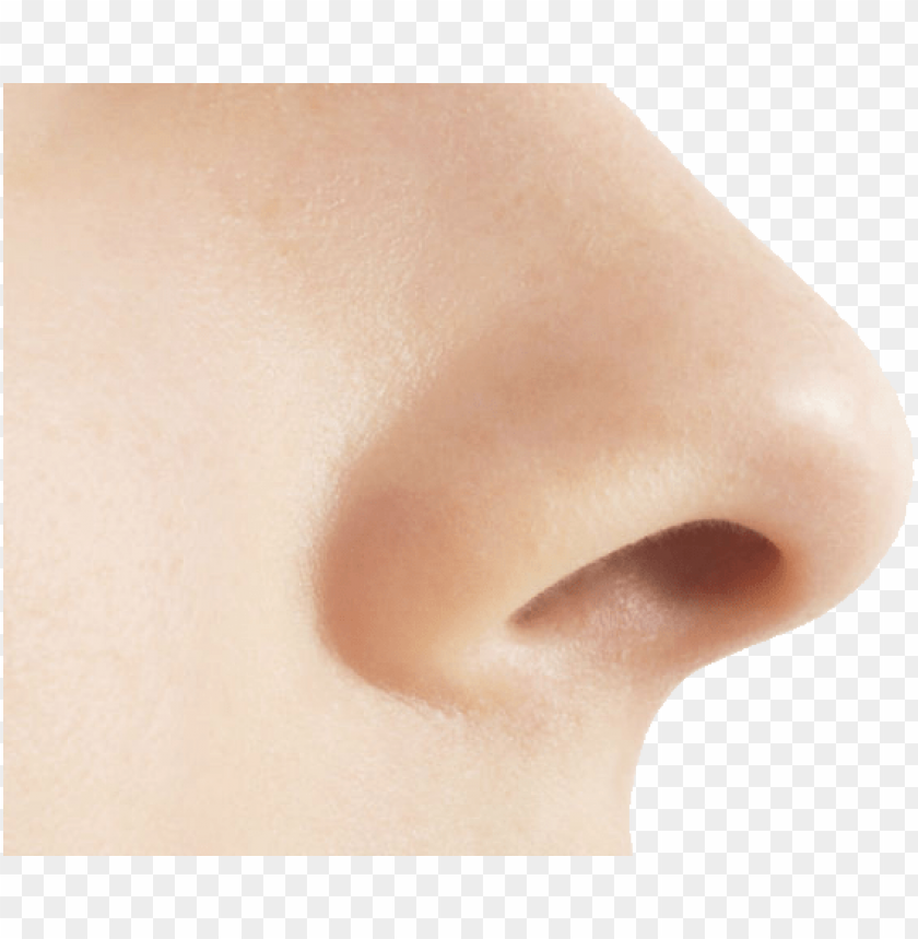 Detail Transparent Nose Nomer 27
