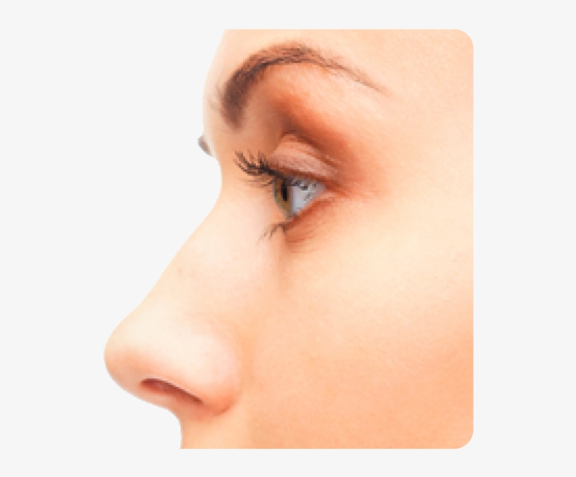 Detail Transparent Nose Nomer 28