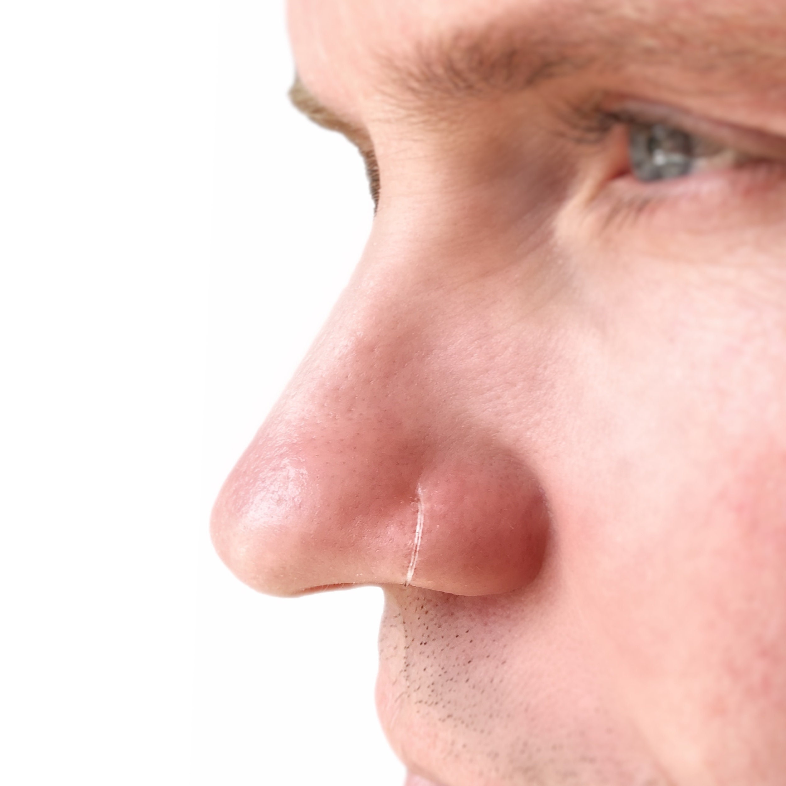 Detail Transparent Nose Nomer 29