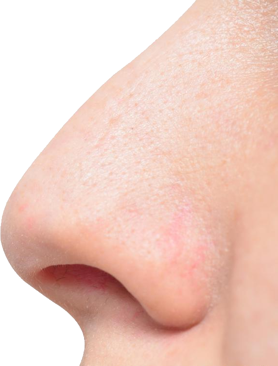 Detail Transparent Nose Nomer 30