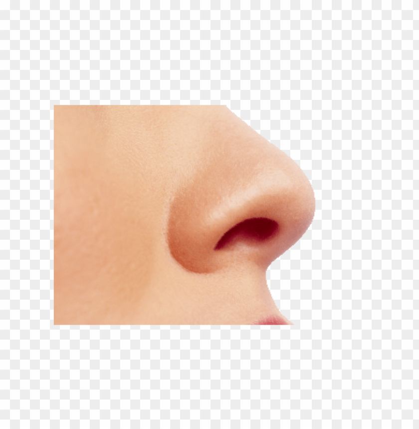 Detail Transparent Nose Nomer 31