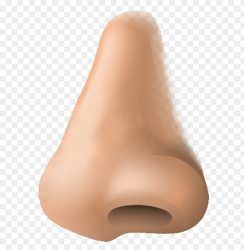 Detail Transparent Nose Nomer 4