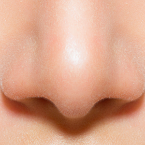 Detail Transparent Nose Nomer 48