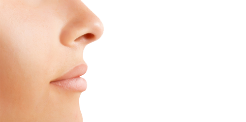 Detail Transparent Nose Nomer 54