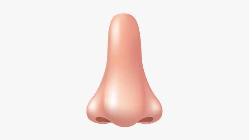 Detail Transparent Nose Nomer 5