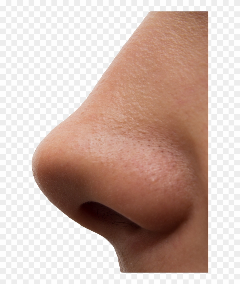 Detail Transparent Nose Nomer 6