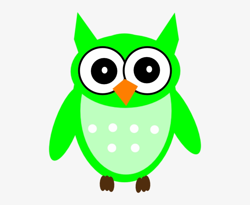 Detail Transparent Owl Nomer 37