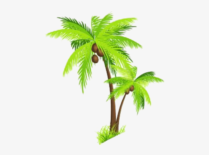 Detail Transparent Palm Tree Nomer 20