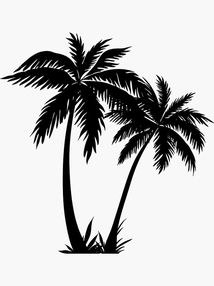 Transparent Palm Tree Silhouette Png - KibrisPDR