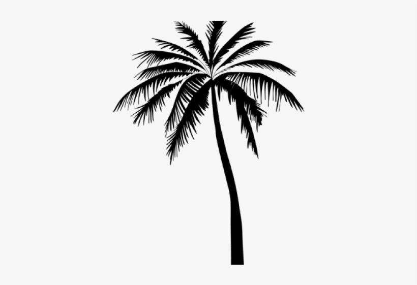 Detail Transparent Palm Tree Silhouette Png Nomer 9