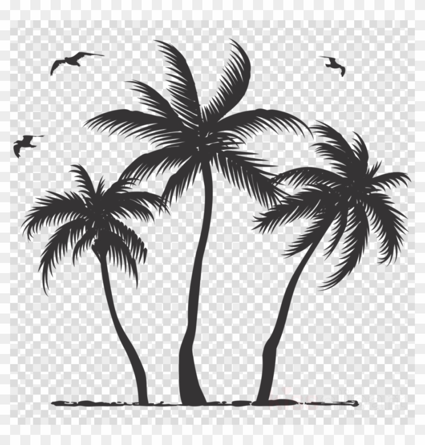 Detail Transparent Palm Tree Silhouette Png Nomer 16