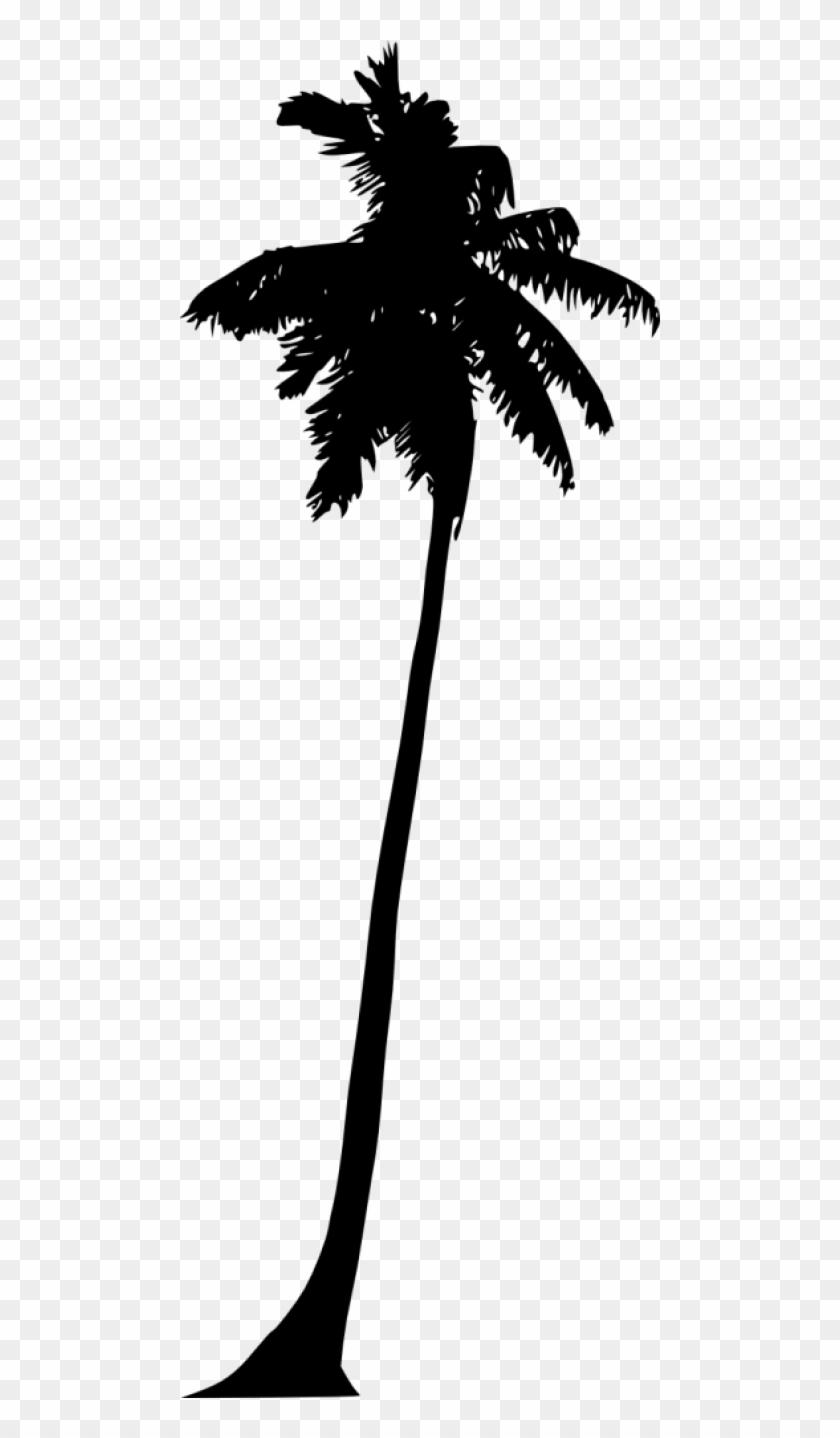 Detail Transparent Palm Tree Silhouette Png Nomer 17