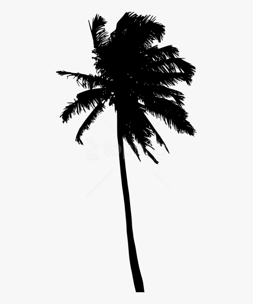 Detail Transparent Palm Tree Silhouette Png Nomer 21