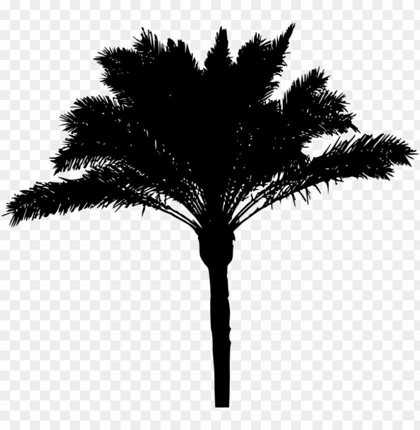 Detail Transparent Palm Tree Silhouette Png Nomer 23