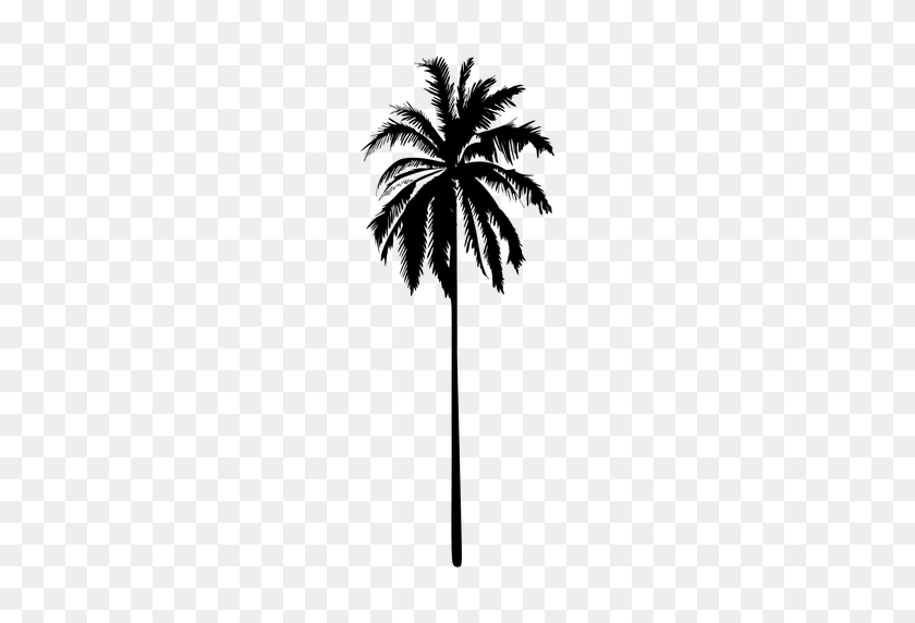 Detail Transparent Palm Tree Silhouette Png Nomer 24