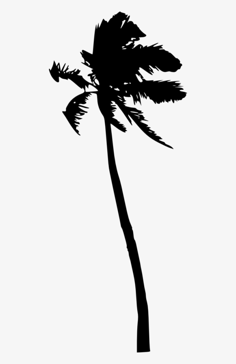 Detail Transparent Palm Tree Silhouette Png Nomer 27