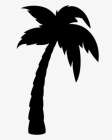 Detail Transparent Palm Tree Silhouette Png Nomer 35