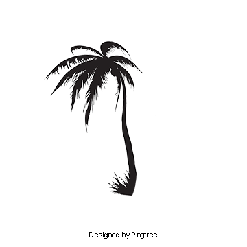 Detail Transparent Palm Tree Silhouette Png Nomer 36