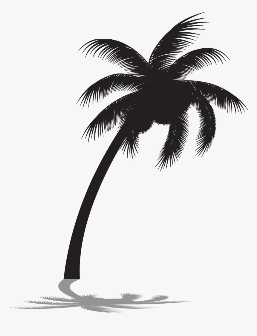 Detail Transparent Palm Tree Silhouette Png Nomer 38