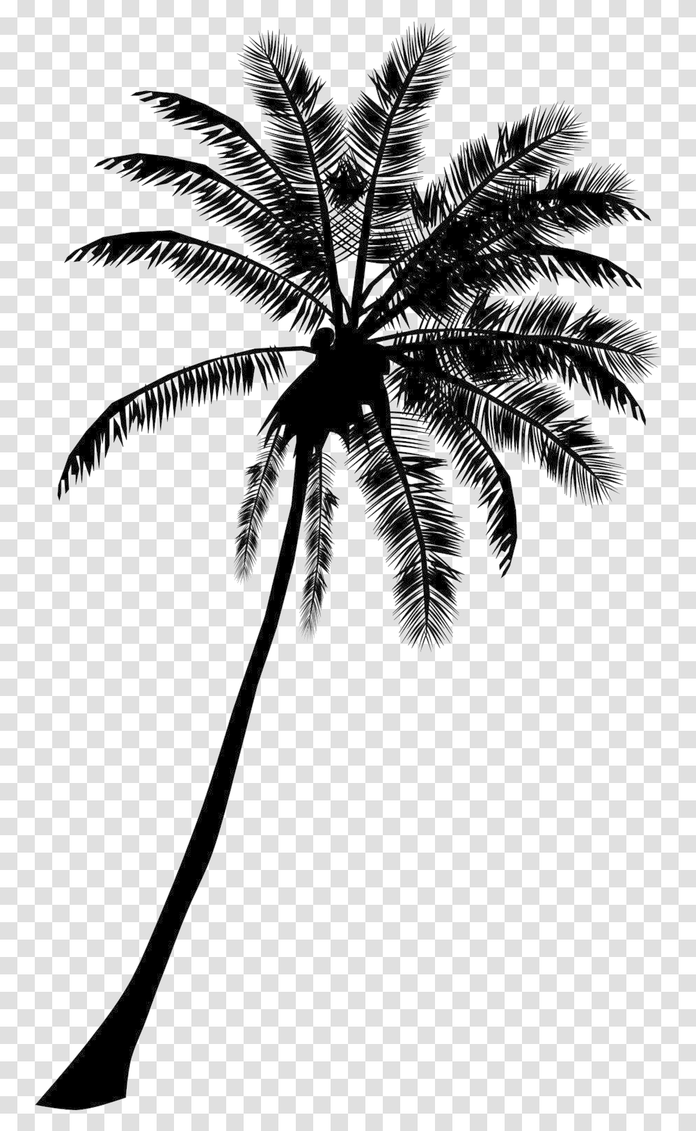 Detail Transparent Palm Tree Silhouette Png Nomer 46