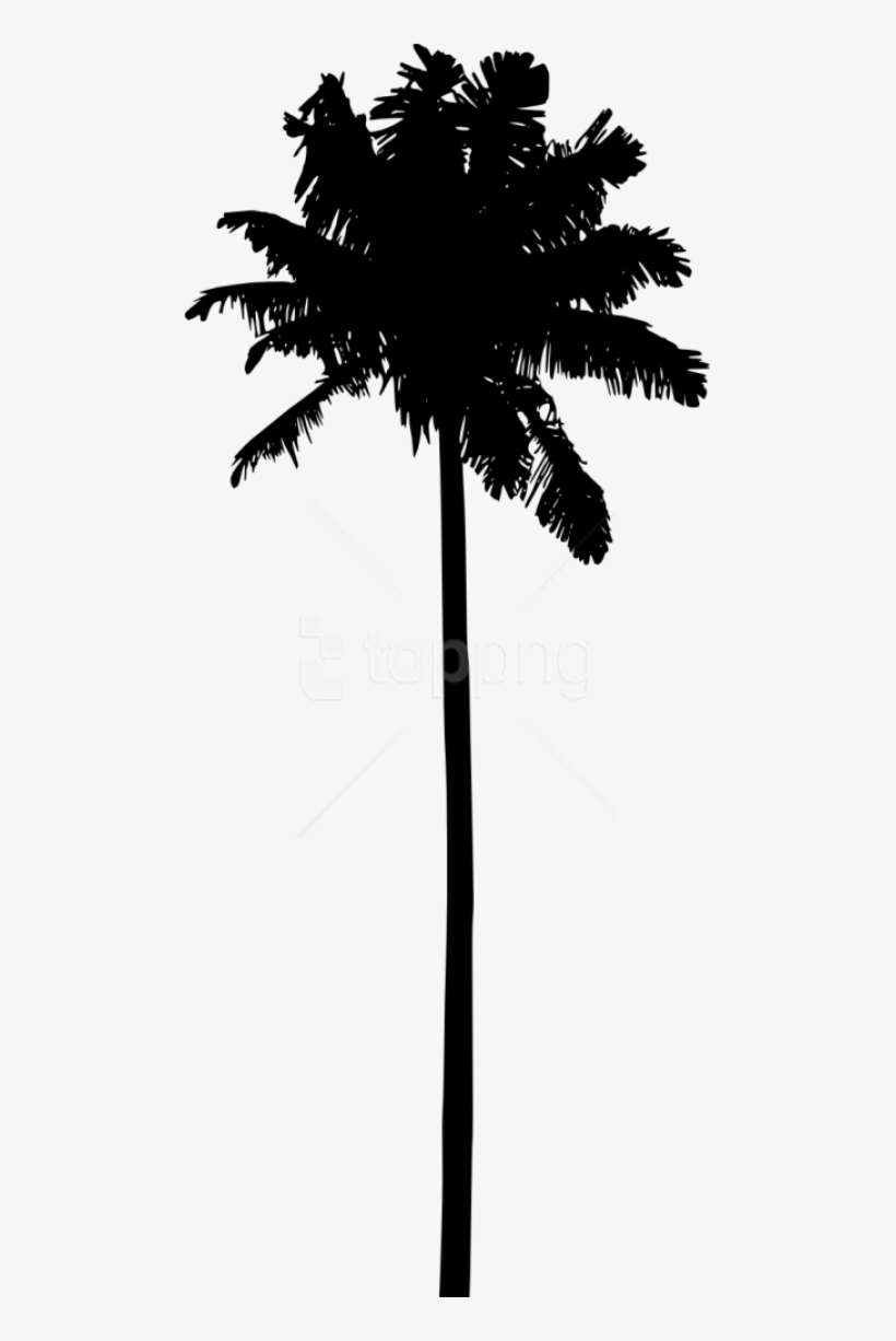 Detail Transparent Palm Tree Silhouette Png Nomer 49