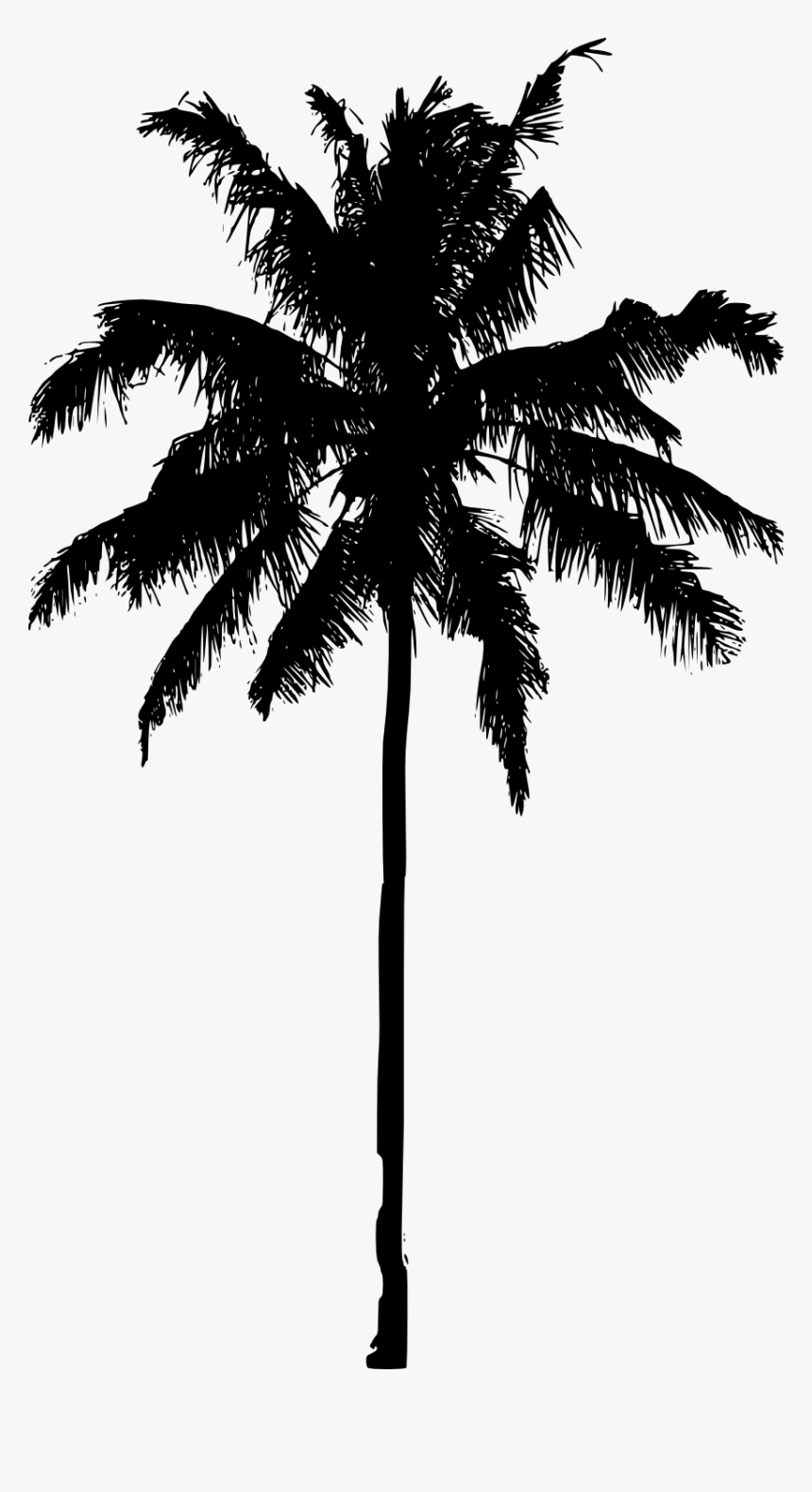 Detail Transparent Palm Tree Silhouette Png Nomer 6
