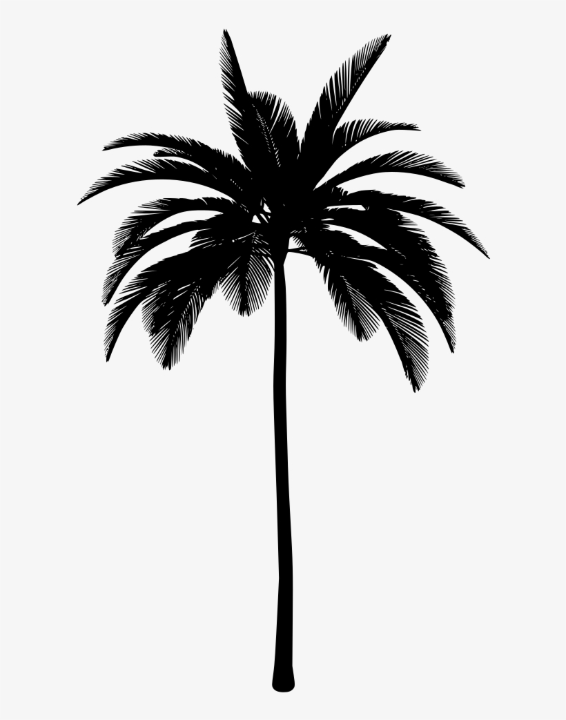 Detail Transparent Palm Trees Nomer 25