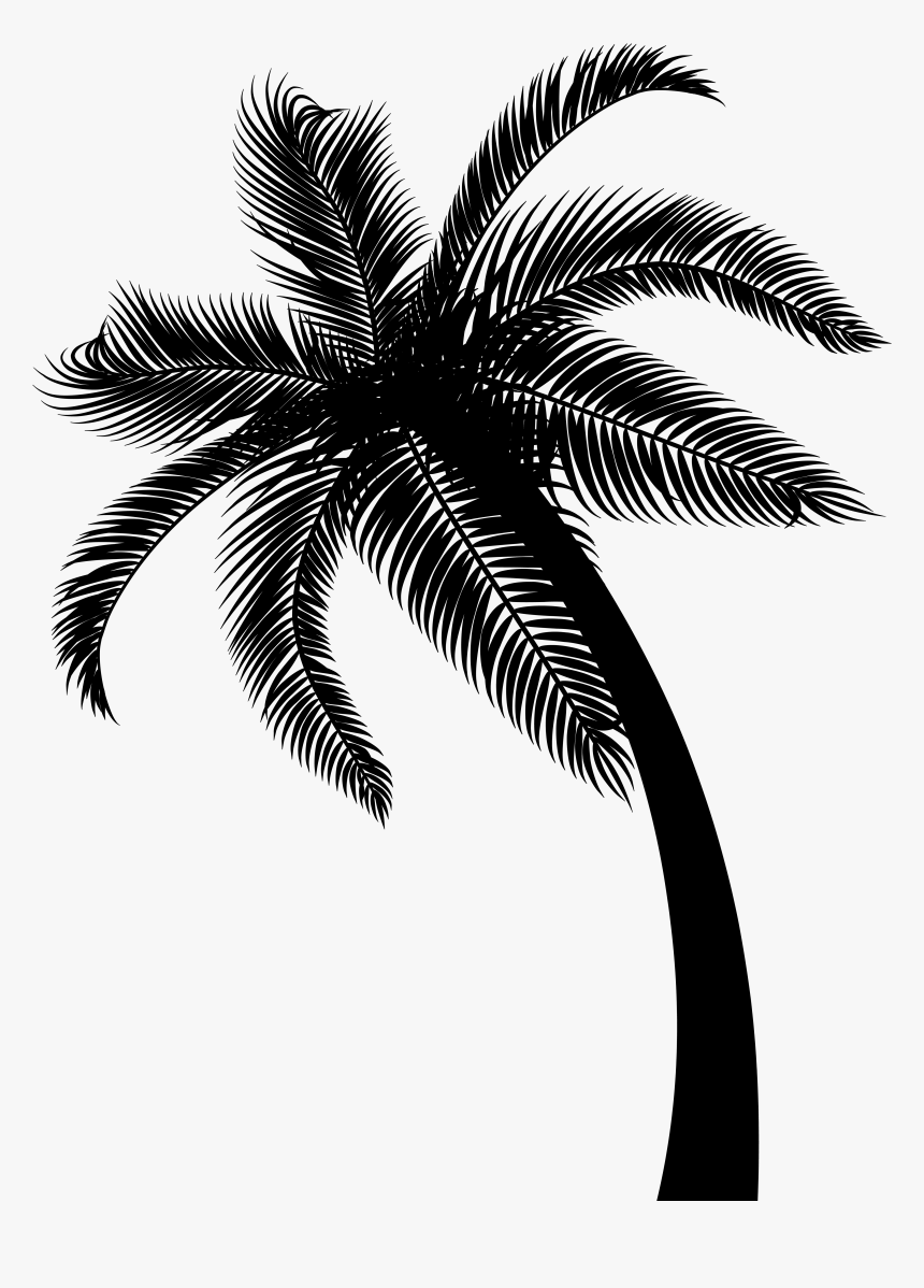 Detail Transparent Palm Trees Nomer 41