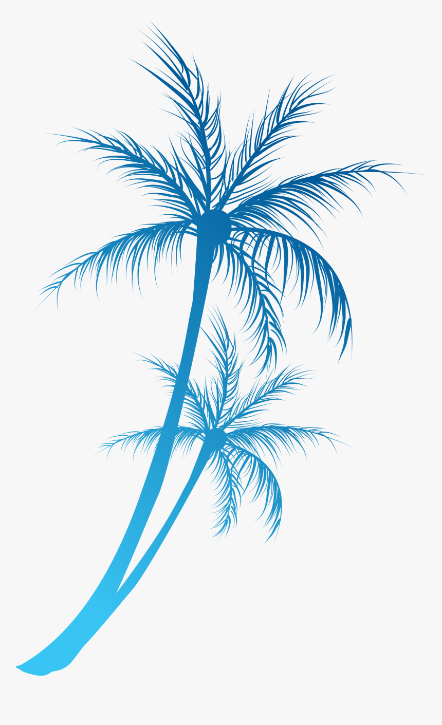 Detail Transparent Palm Trees Nomer 52