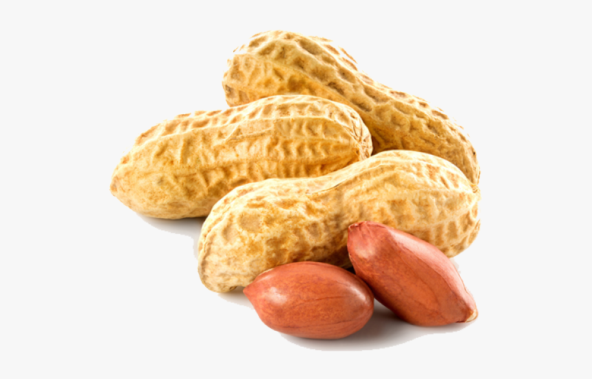Transparent Peanut - KibrisPDR