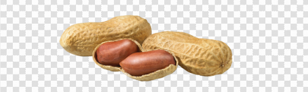 Detail Transparent Peanut Nomer 9