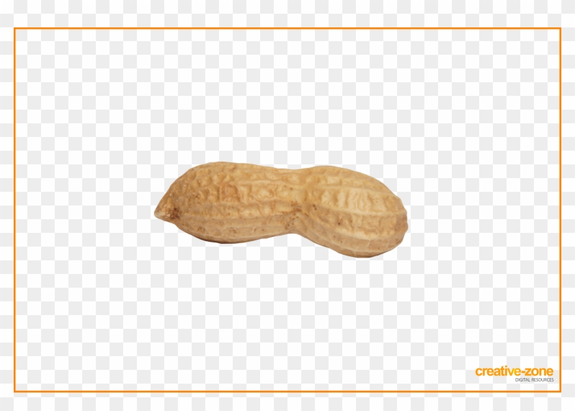 Detail Transparent Peanut Nomer 15