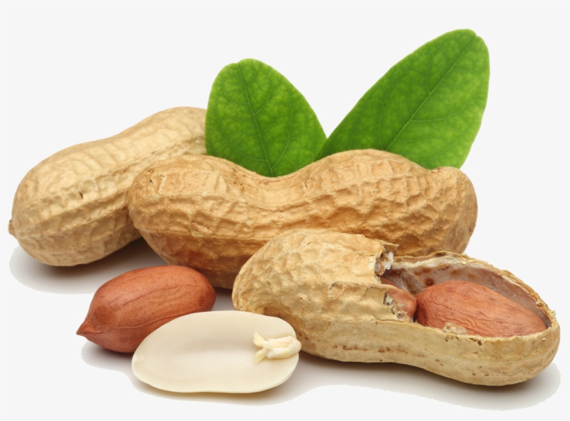 Detail Transparent Peanut Nomer 16