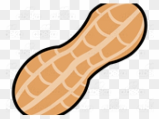 Detail Transparent Peanut Nomer 18