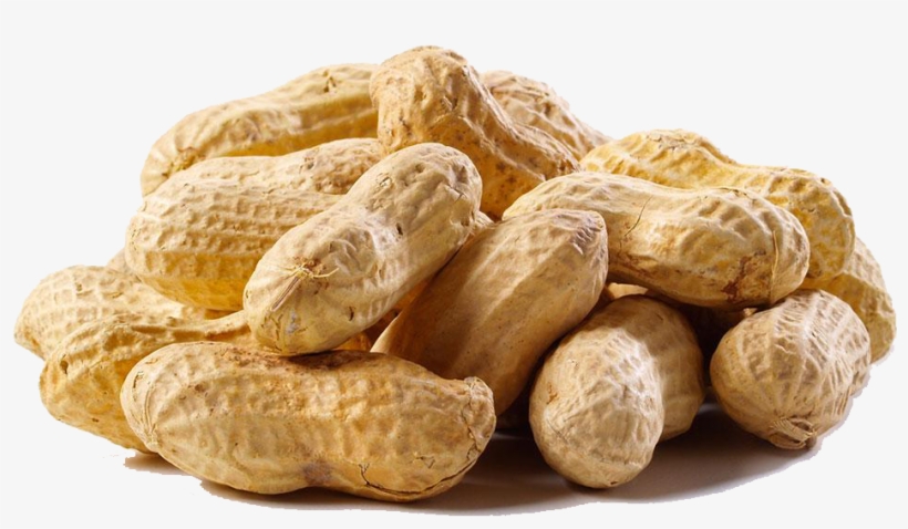 Detail Transparent Peanut Nomer 3